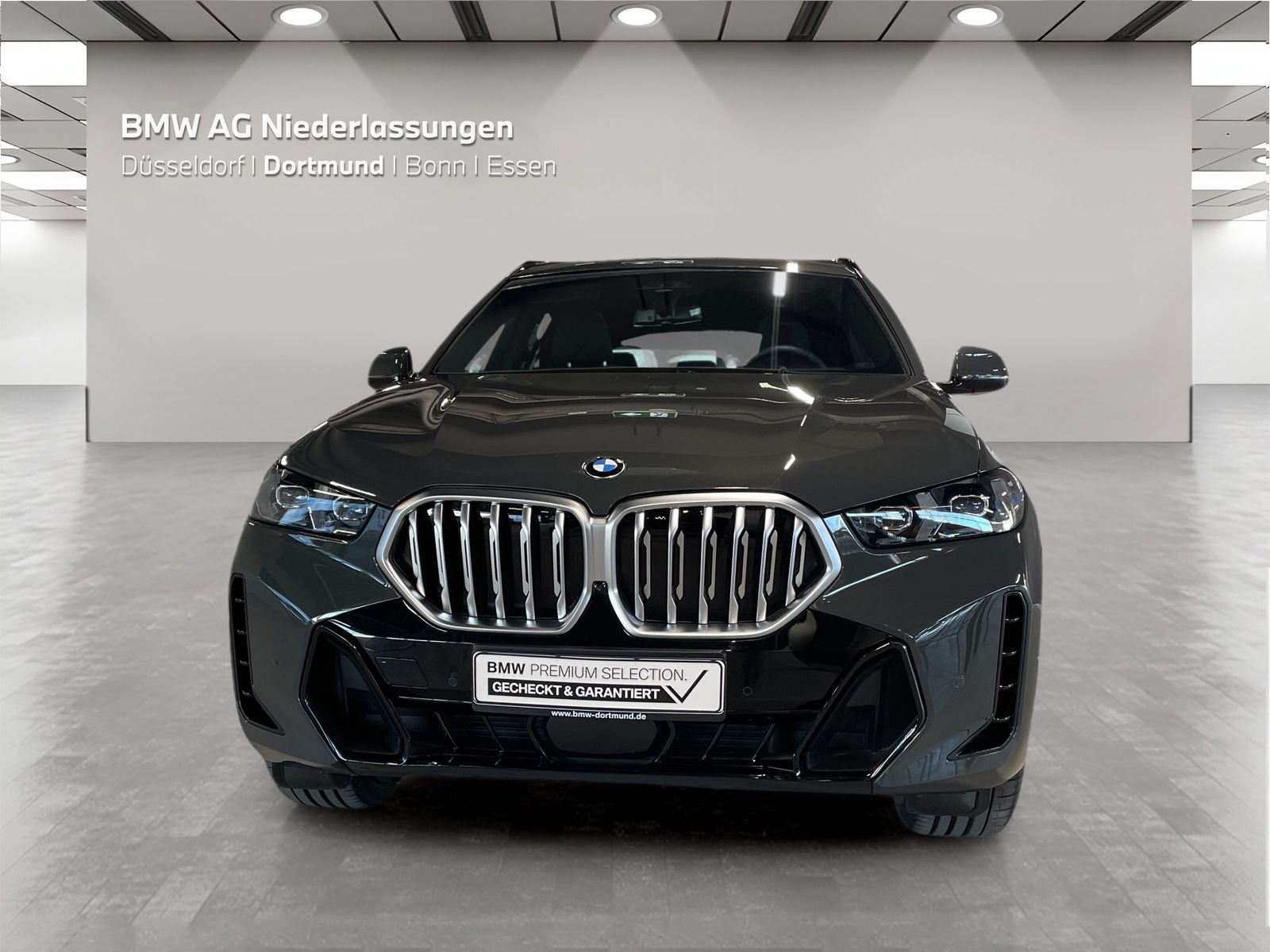BMW X6 - Bild 8