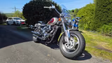 Suzuki VZ 800 Marauder - SUZUKI MARAUDER 800
