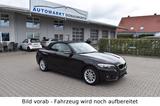 BMW 218i Cabrio Aut. Advantage Navi Leder HiFi Sitzh - BMW 2 Series: Cabrio