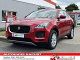Jaguar E-Pace P250 AWD /LED//DAB/Sound/Spur/Kamera/A... - Jaguar E-Pace mit Anhängerkupplung