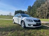 Skoda Octavia 1.4 TSI G-TEC Ambition Combi Ambition - Skoda Octavia mit CNG-Antrieb: Kombi