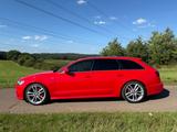 Audi A6 3.0 TDI 240kW comp. quattro tiptr. Avant ... - Audi A6: Rot