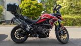 Triumph Tiger 900 GT Pro - Offers