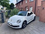 Volkswagen VW New Beetle Käfer / TÜV bis 03.2027 / 2t... - Volkswagen: Kaefer