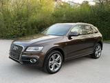 Audi Q5 3.0 TDI S tronic quattro Navi Led Kamera - Audi Q5: Braun