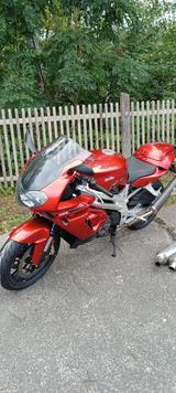 Aprilia SL1000 Falco - APRILIA SL 1000 FALCO