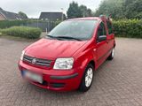 Fiat Panda 1 Hand * TÜV Neu * Wenig Km * K... - Fiat Panda: Km H