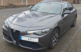 Alfa Romeo Giulia 2.0 Turbo 16V 206 kW AT8-Q4 Veloce Veloce - Alfa Romeo Giulia mit Benzin-Antrieb: Automatik