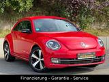 Volkswagen Beetle 1.4 TSI Fender/XENON/2 HAND/160PS/NAVI - Volkswagen Beetle: Fender