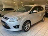 Ford Grand C-Max Grand C-MAX Titanium - Ford Grand C-Max: Leder