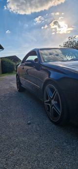 Mercedes-Benz CLK 320  // AMG Paket // Sportfahrwerk // - Mercedes-Benz CLK 320: AMG