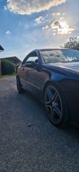 Mercedes-Benz CLK 320  // AMG Paket // Sportfahrwerk // - Mercedes-Benz: Clk AMG Paket