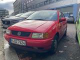 Volkswagen Polo - Volkswagen Polo aus 1997