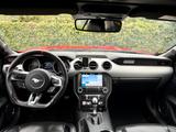 Ford Mustang 5.0 GT Cabrio V8 - Ford Mustang mit Benzin-Antrieb: Cabrio, 5.0