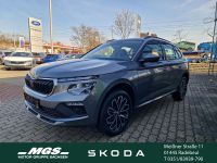 Skoda Kamiq - Vorschau Bild 1