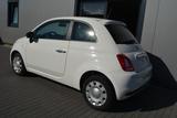 Fiat 500 Pop Star-HU + Service neu - Fiat 500: Star