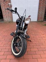 Harley-Davidson Crossbones FLSTSB Springer  - HARLEY-DAVIDSON FLSTS