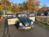 Volkswagen VW Käfer 1953 | H Kennzeichen | Originalla... - Volkswagen Beetle in Bonn