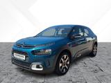 Citroën C4 Cactus 130 Shine *Pano*CarPlay*Kamera* - Citroën C4 Cactus Gebrauchtwagen