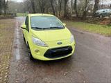 Ford Ka Jump - Ford Ka/Ka+ in Herne