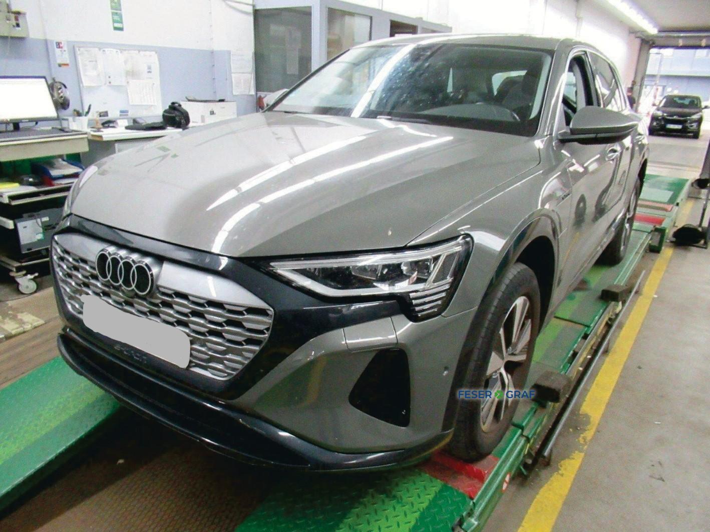 Audi Q8 e-tron 55 quattro advanced LED/Air Susp./Kame