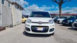 Fiat Panda 1.0 GSE S&S Hybrid Pop Van 2 posti - Fiat Panda POP mit Hybrid-Antrieb (Benzin/Elektro)