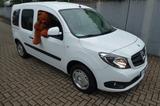 Mercedes-Benz Citan Kombi 109 CDI lang - gebrauchte Mercedes-Benz Citan aus dem Jahr 2021
