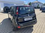 Fiat Panda 1.0 City Plus - Fiat Panda in Leipzig