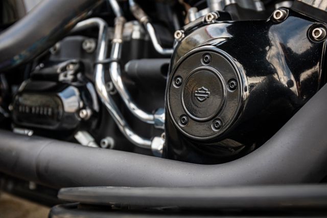 Fahrzeugabbildung Harley-Davidson CROSS BONES FLSTSB SOFTAIL - KESSTECH -