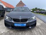 BMW M2 2 Coupe M235 i xDrive - BMW M2: Coupe
