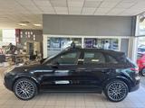 Porsche Cayenne Platinum Edit Kamera Leder Pano LED BOSE - Porsche Cayenne in Hannover