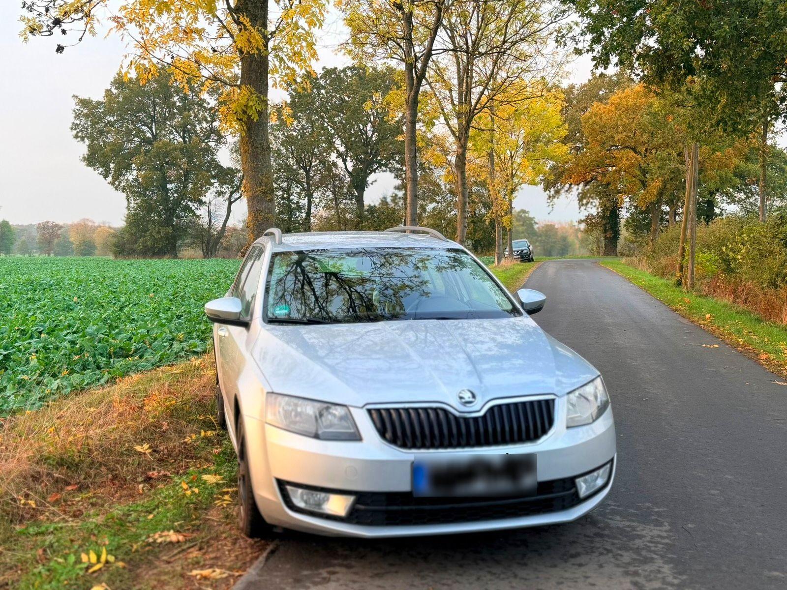 Skoda Octavia 2015 — rear view