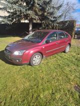 Ford Focus 1.6 Ghia Ghia
