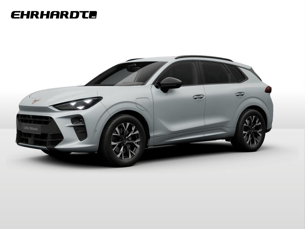 Image of Cupra Terramar