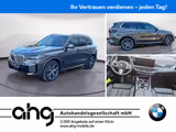 BMW X5 xDrive40i MSport AHK Innovation Travel