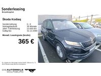 Skoda Kodiaq - Vorschau Bild 2