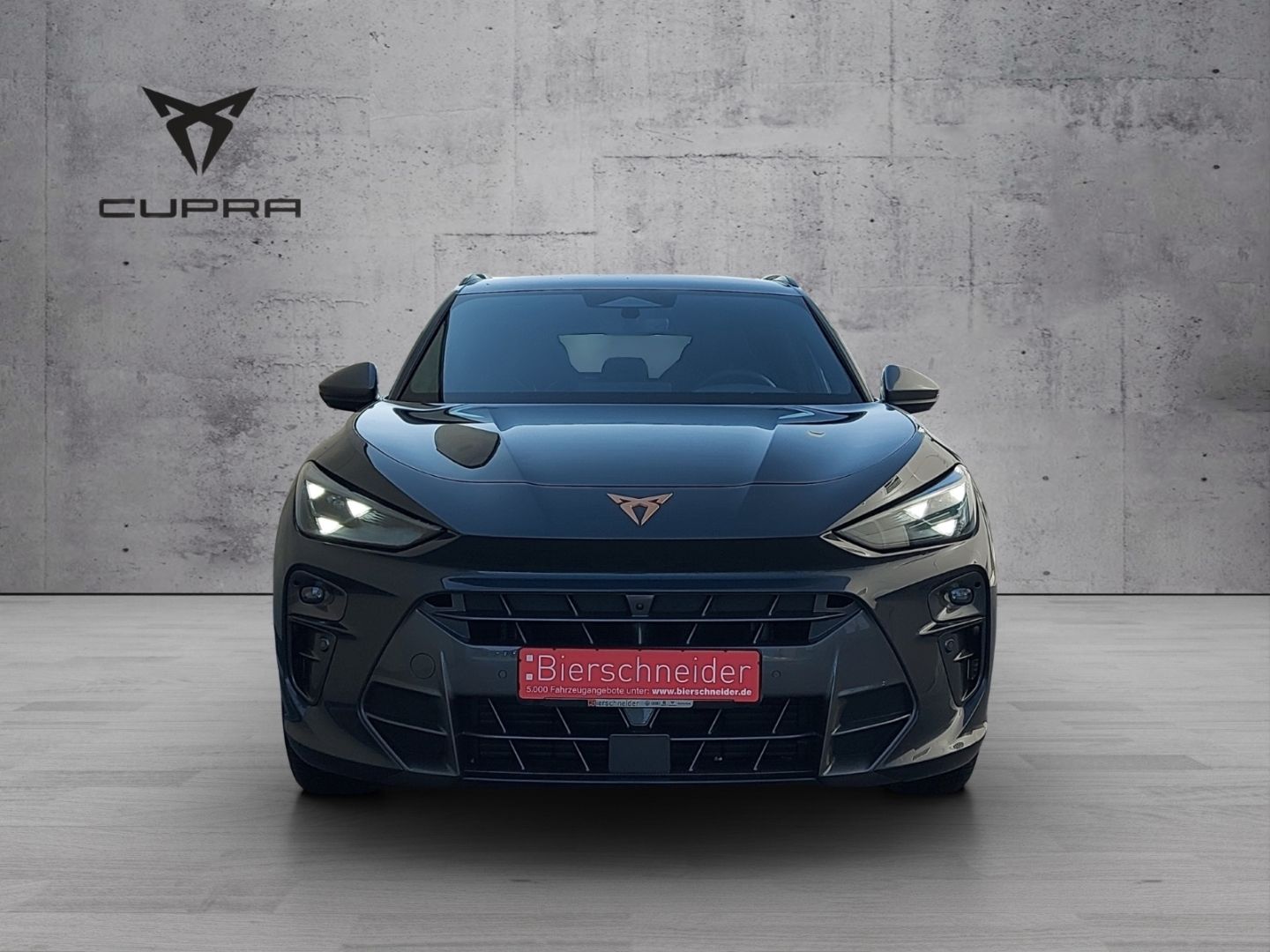 Cupra Terramar - Bild 2