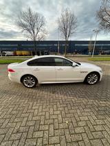 Jaguar XF E-Performance 163PS R-Sport R-Sport - Jaguar XF: R Sport