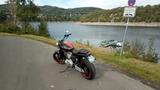 Harley-Davidson XR 1200 - Offers matching your search criteria