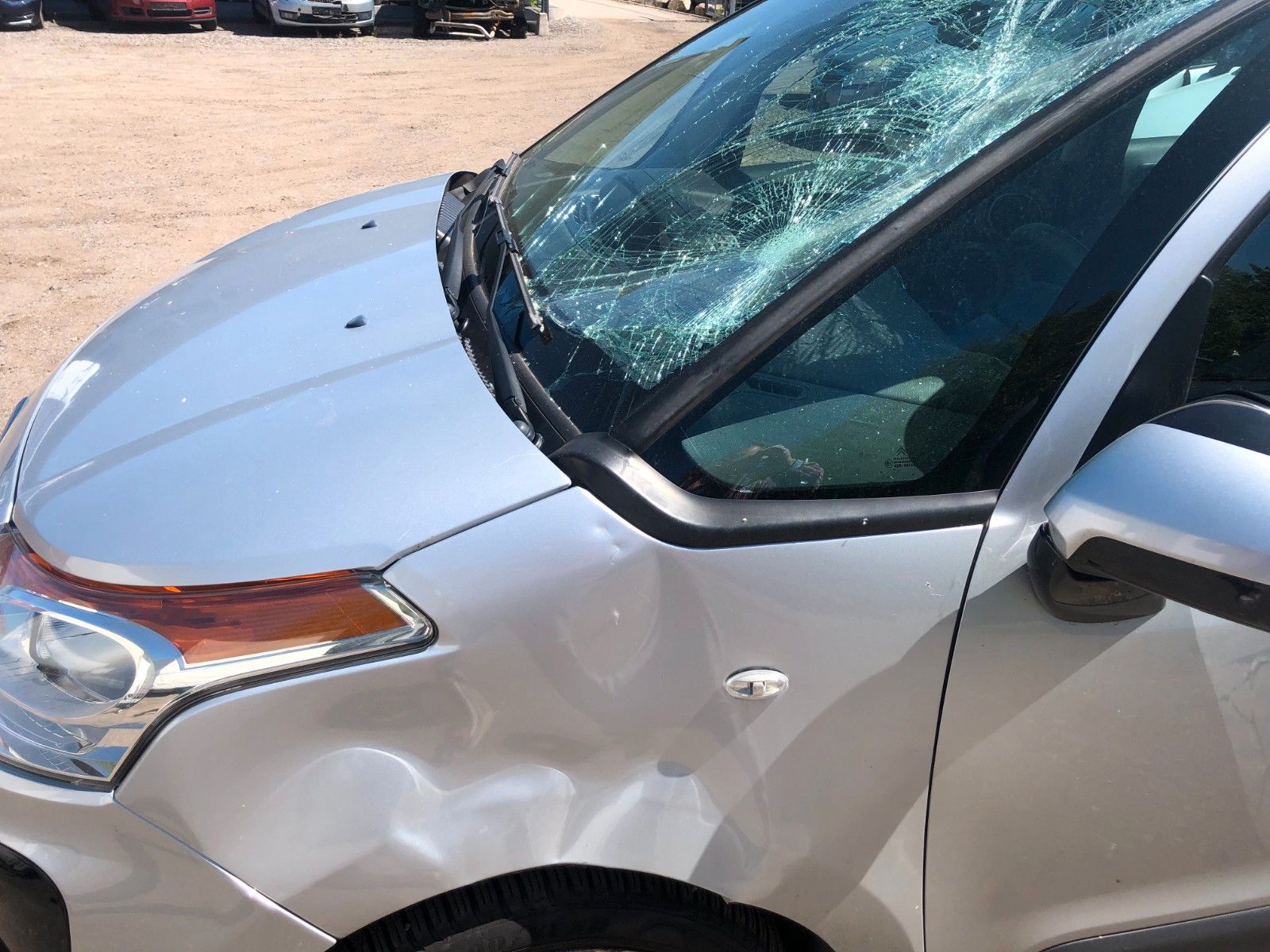 Fahrzeugabbildung Citroën C3 Picasso Tendance Wildschaden