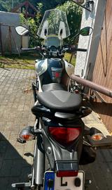 Suzuki SFV 650 Gladius - SUZUKI 650