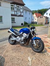 Honda Hornet 900 - Offers matching your search criteria