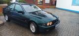 BMW 528 E39 super Sammlerzustand - BMW 528: E39