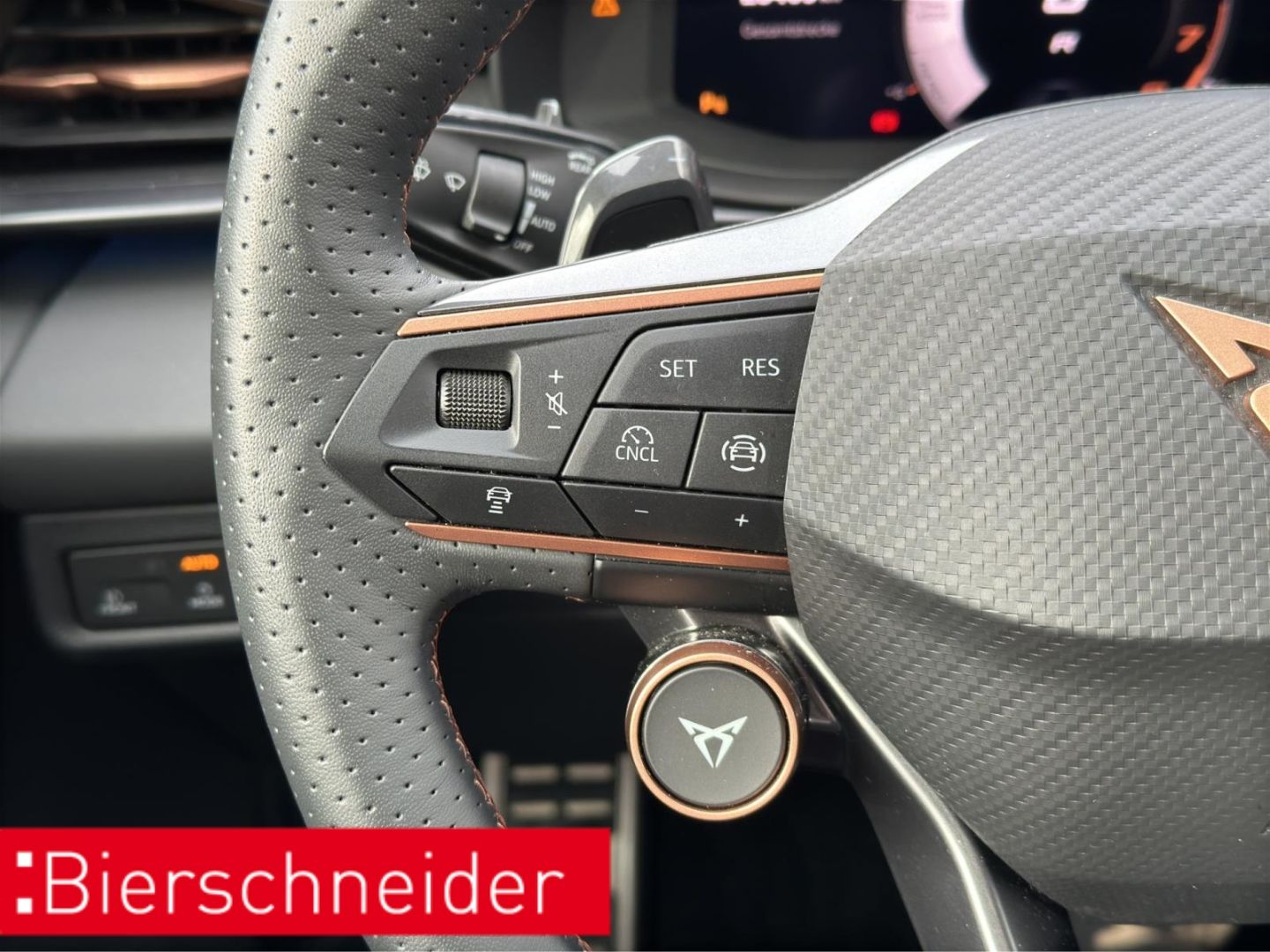 Cupra Terramar - Bild 38