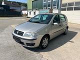 Fiat Punto 1.2 8V Active, Klima, TÜV Neu - Fiat Punto: Active