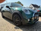 MINI COOPER S/Panoramadach - MINI MINI: Grün