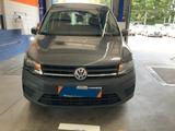 Volkswagen Caddy Maxi Trendline 2.0TDI 102PS 5-G*KLIMA*PDC - Volkswagen Caddy Maxi: Trendline