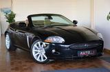 Jaguar XK 3.5L V8 Cabriolet Luxus-Sport Navi Xenon PDC - Jaguar XK: 3.5