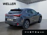 Lexus UX 300h F SPORT Design *LED*Kamera*Leder*SHZ*PDC - Lexus: Sport