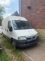 Fiat Ducato 2.8 244 Transporter vanlife wo... - Fiat: Transporter
